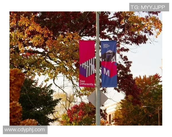 武汉羽毛球队的反击革新之路：重塑辉煌与未来展望